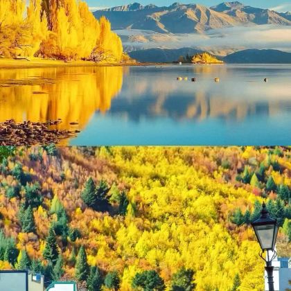 新西兰南岛+普卡基湖+奥拉基/库克山国家公园2日1晚拼小团