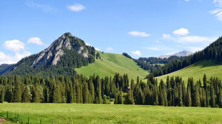 10-day 9-night · Private Tour · Northern Xinjiang + Urumqi + Kanas + Nalati Scenic Area