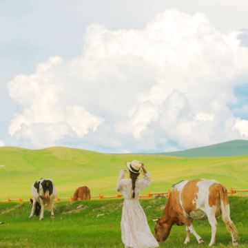 北戴河+避暑山庄+坝上+乌兰布统旅游区+木兰围场+塞罕坝国家森林公园5日4晚跟团游