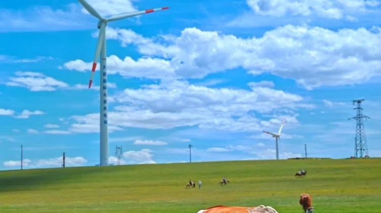 5D4N · Group Tours · Inner Mongolia + Hohhot + Huitengxile Grassland + Whistling Dune Bay + The Mausoleum of Genghis Khan