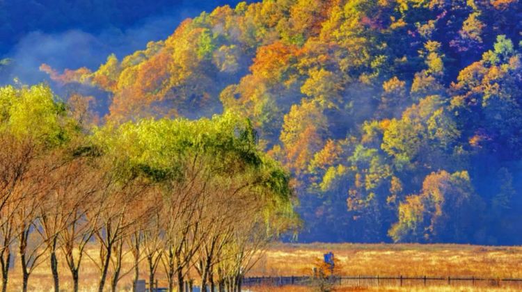 2D1N · Group Tours · Shennongjia