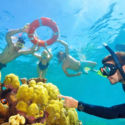 澳大利亚悉尼+凯恩斯+大堡礁7日6晚跟团游