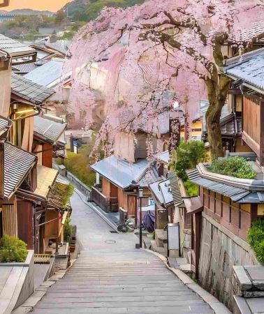 4日3晚 • 日本大阪＋京都＋奈良 關西經典路線，熱門景點一次過打卡，包括奈良公園、伏見稻荷大社、清水寺，9 人細淨玩團   