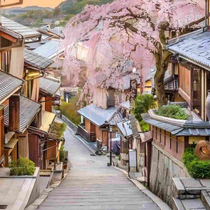 日本大阪+京都+奈良4日3晚跟团游