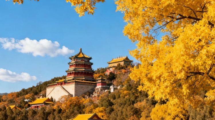 5D4N · Group Tours · Beijing + The Palace Museum + Mutianyu Great Wall + Summer Palace + Prince Kung's Palace Museum + Temple of Heaven + Universal Beijing Resort