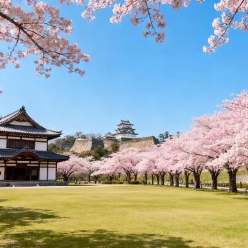 日本福冈+熊本+鹿儿岛9日8晚拼小团