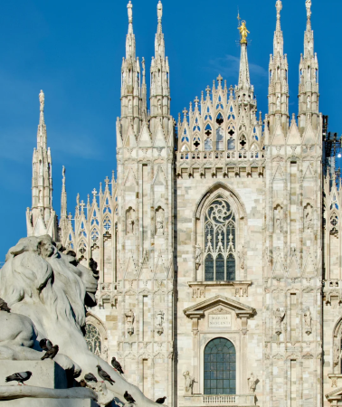 8D7N • Italy