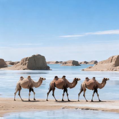 青海湖景区+茶卡盐湖+水上雅丹+察尔汗盐湖+敦煌+张掖9日8晚私家团