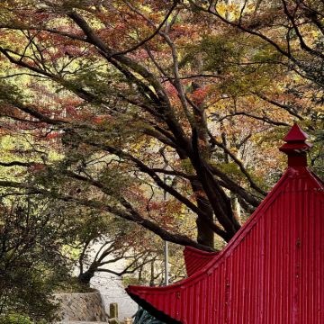 湖州+莫干山风景名胜区3日2晚私家团