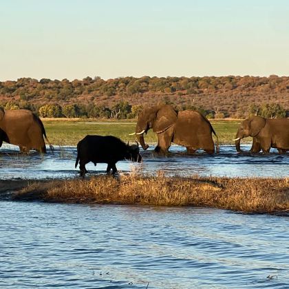 南非+津巴布韦+赞比亚+博茨瓦纳12日9晚跟团游