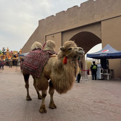 中国新疆阿勒泰地区喀纳斯景区18日17晚跟团游