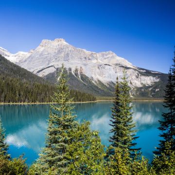 加拿大温哥华+卡尔加里+班夫国家公园+幽鹤国家公园+贾斯珀国家公园10日9晚私家团