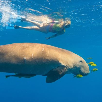 埃及锡瓦+马特鲁港+苏伊士+亚历山大+阿斯旺+卢克索+阿莱姆港+Qesm Marsa Alam15日14晚私家团