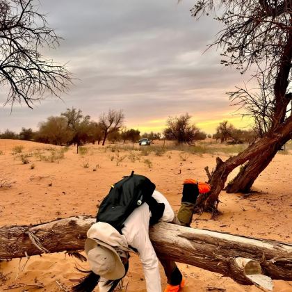 银川+腾格里沙漠+阿拉善左旗+太阳湖4日3晚跟团游