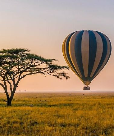6D5N • 6 Days best adventure kilimanjaro ,Tarangire ,Serengeti &Ngorongoro crater