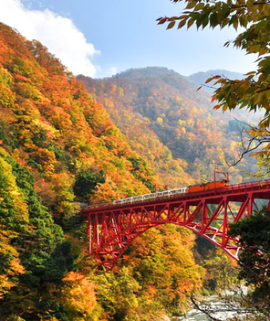 6 วัน 4 คืน • KORANKEI TOYAMA OSAKA รถไฟสายโรแมนติก โดยสายการบินไทย [TG]