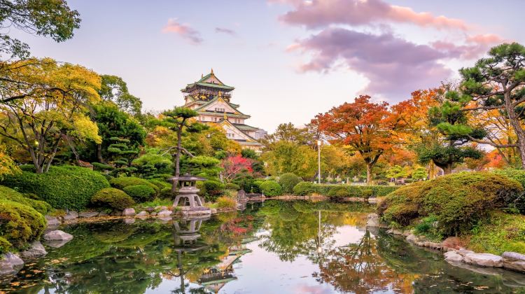 6-Day South Japan Express