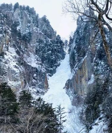 2D1N • 2-Day Hokkaido: Asahiyama Zoo & Monbetsu (纹别) Icebreaker