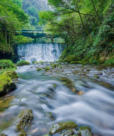 4D3N • Zhangjiajie + Tianmen Mountain National Forest Park + Zhangjiajie National Forest Park 