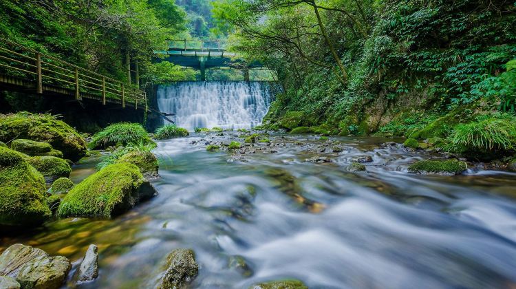 4D3N · Group Tours · Zhangjiajie + Tianmen Mountain National Forest Park + Zhangjiajie National Forest Park 