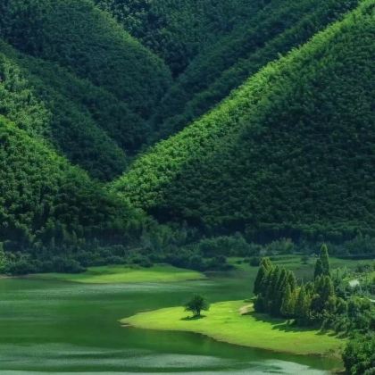 安吉+德清+莫干山风景名胜区+藏龙百瀑漂流+白茶原·安吉白茶观景平台3日2晚私家团