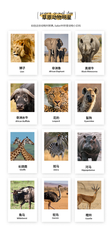 阿鲁沙