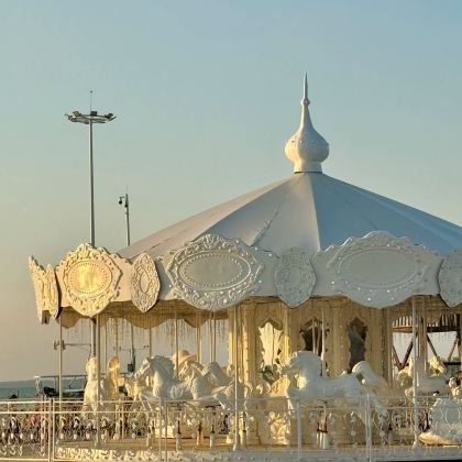 项王故里+皂河龙运城+骆马湖沙滩公园+三台山国家森林公园+宿迁市博物馆+洋河酒厂文化旅游区3日2晚私家团