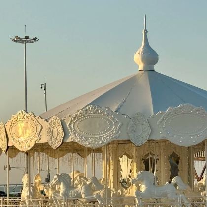 项王故里+皂河龙运城+骆马湖沙滩公园+三台山国家森林公园+宿迁市博物馆+洋河酒厂文化旅游区3日2晚私家团