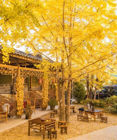 6D5N • Yunnan + Dali City + Tengchong + Mangshi + Ruili  