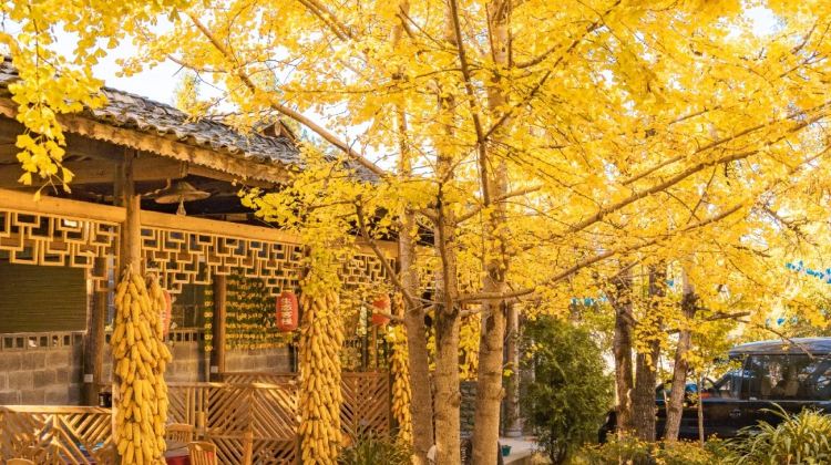 10D9N · Group Tours · Yunnan + Kunming + Tengchong + Mangshi + Xishuangbanna