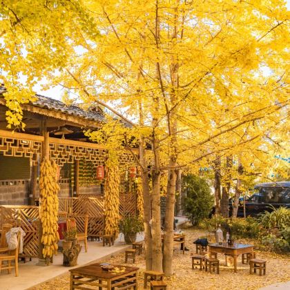 腾冲+瑞丽+芒市7日6晚自由行