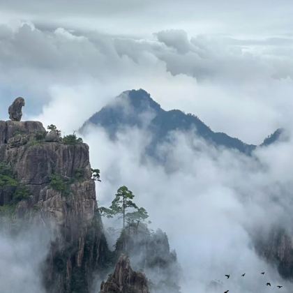 黄山+婺源+西递+宏村景区+新安江山水画廊+徽州古城6日5晚拼小团