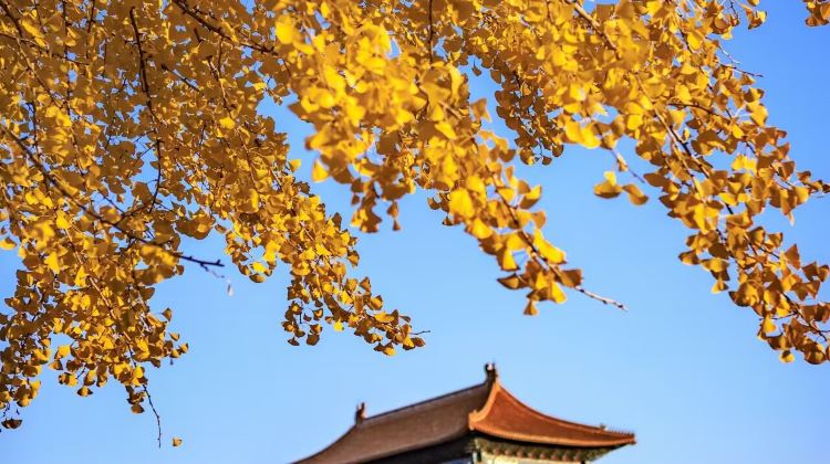 4-Day Ancient capital Beijing 4-day exclusive private journey