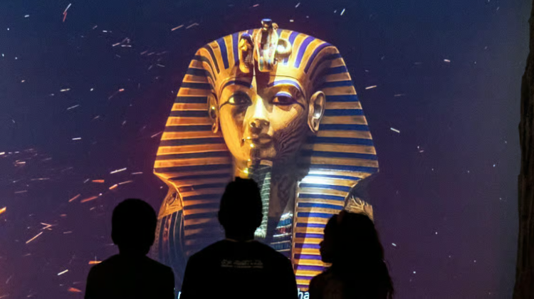 4-Day Egypt Highlights Discovery Tour from Cairo·Giza Pyramids, Grand Egyptian Museum, Montaza Palace and Roman Amphitheatre