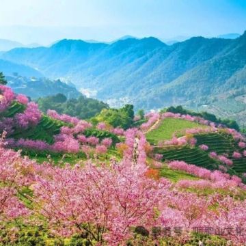 中国江西赣州虔心小镇3日2晚跟团游