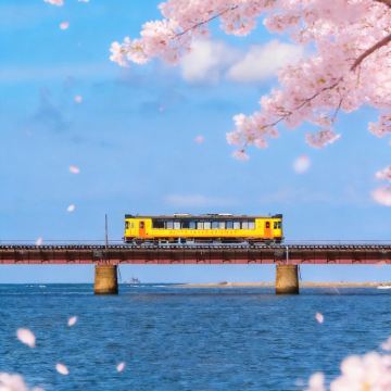 日本东京+伊豆市7日6晚私家团