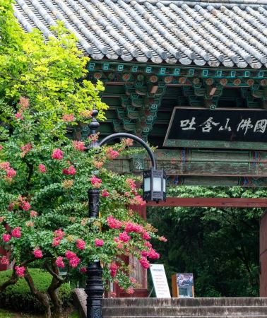 8D7N • South Korea + Busan + Gyeongju + Jincheon-gun + Seoul: This 8-day panoramic in-depth tour lets you experience coastlines, ancient capitals, mountains, and forests