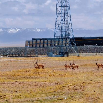 成都+川藏公路+拉萨+日喀则+珠峰大本营+西宁17日16晚跟团游