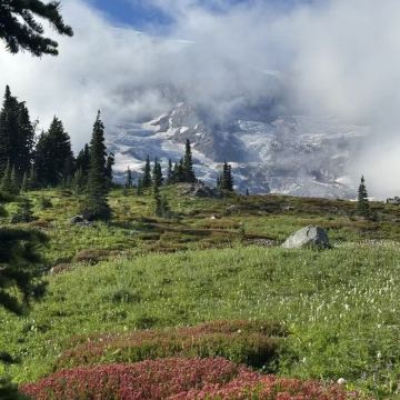 美国西雅图+旧金山6日私家团