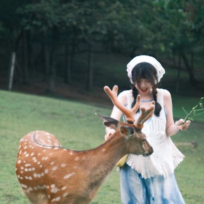 哈尔滨+伊春+五大连池市+齐齐哈尔+大庆6日5晚跟团游