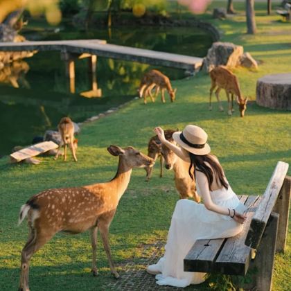 哈尔滨+五大连池市+伊春5日4晚跟团游