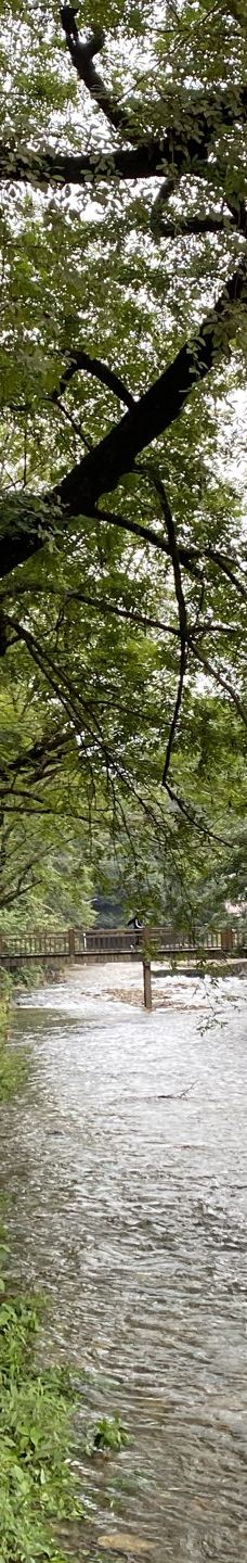 水墨汀溪风景区-泾县