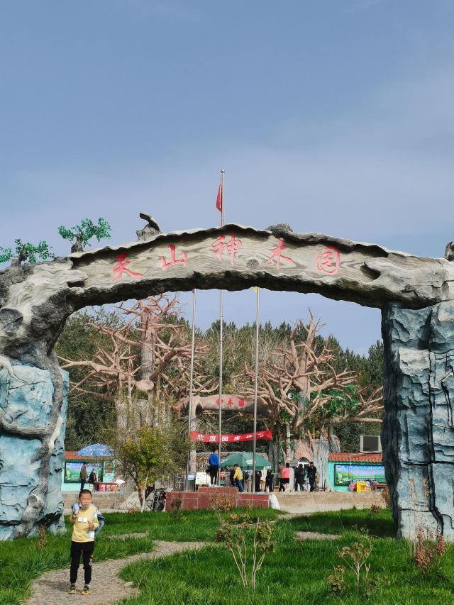 天山神木园旅行图片 1