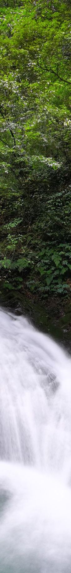 黑山谷风景区-重庆