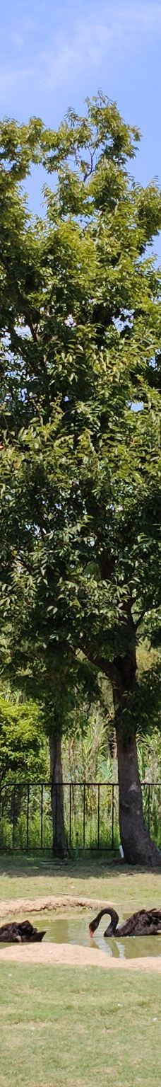 仙山湖风景区-长兴