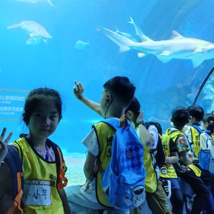 亲近自然·上海长风海洋公园1日独立营 【向孩子传达海洋保护理念】【亲手触摸海星和小鲨鱼】【用有趣的方式学习海洋知识】