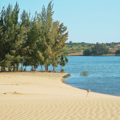 胡志明市+美奈+大叻+芽庄7日6晚私家团