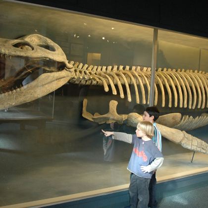 美国纽约+费城+华盛顿+波士顿10日私家团