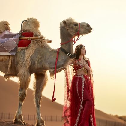 银川+中卫5日4晚跟团游