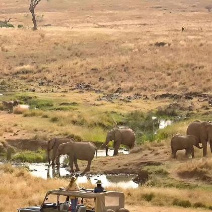 肯尼亚+坦桑尼亚10日8晚私家团